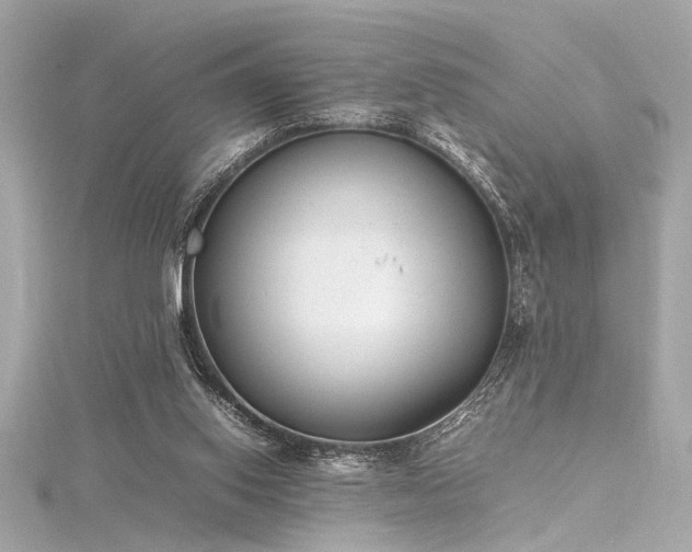 X0000116350062200912011419