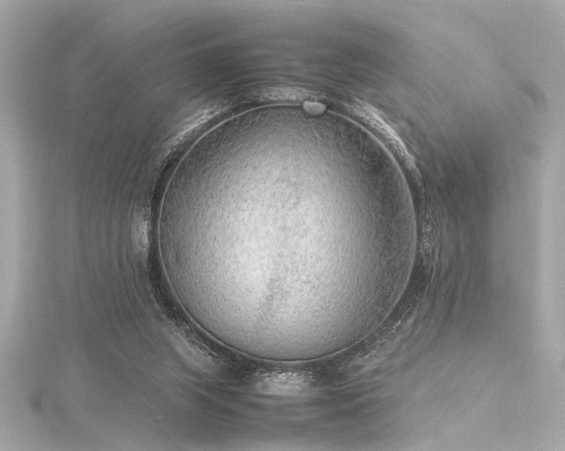 X0000116350063200912011419