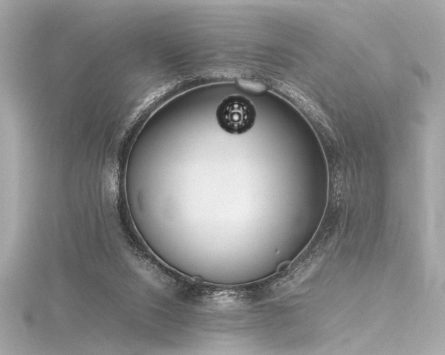 X0000116350064200912011419