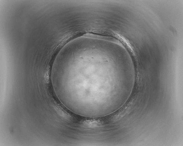 X0000116350065200912011419