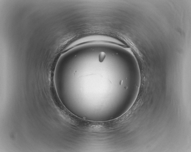 X0000116350066200912011419