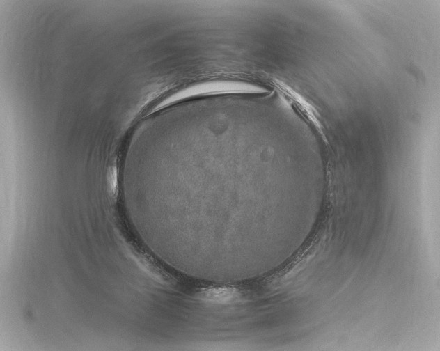 X0000116350067200912011419