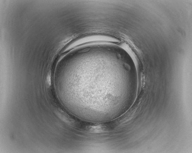 X0000116350068200912011419