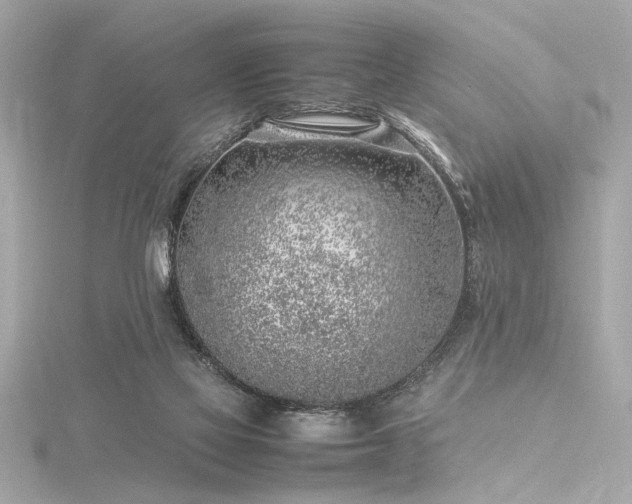 X0000116350069200912011419