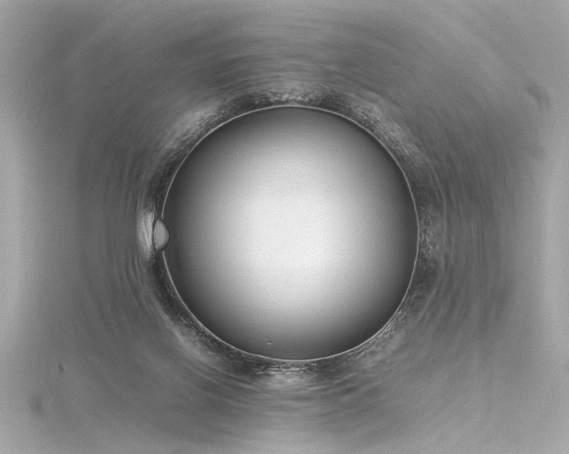 X0000116350070200912011419