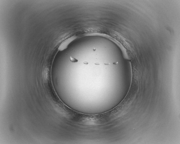 X0000116350071200912011419