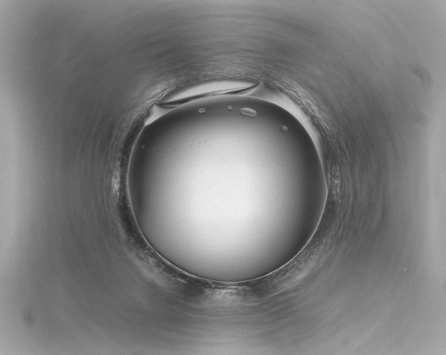 X0000116350072200912011419