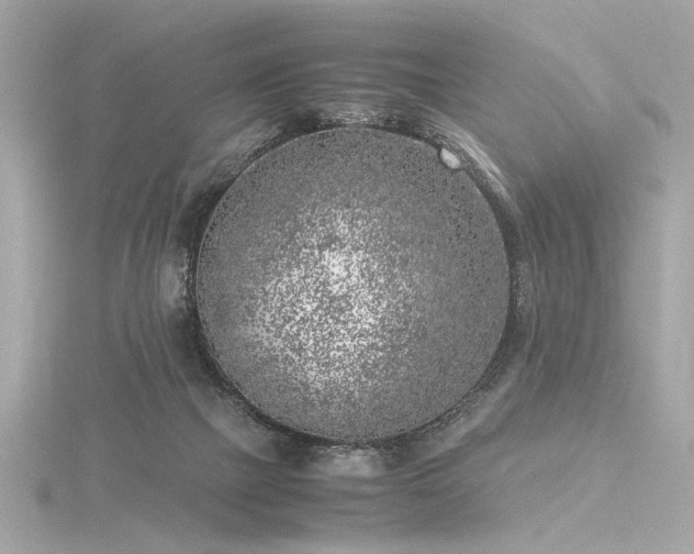 X0000116350073200912011419