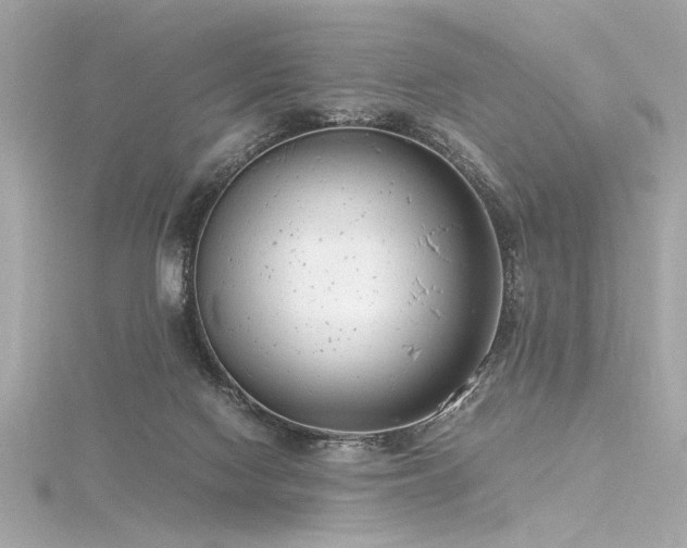 X0000116350074200912011419