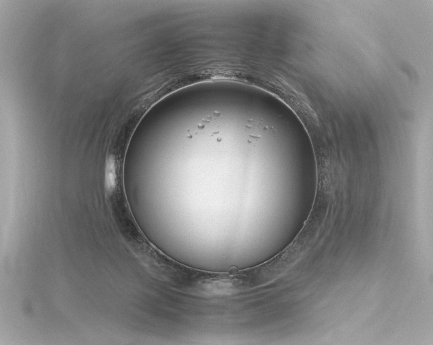 X0000116350075200912011419