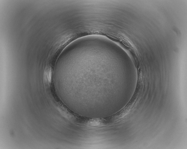 X0000116350076200912011419