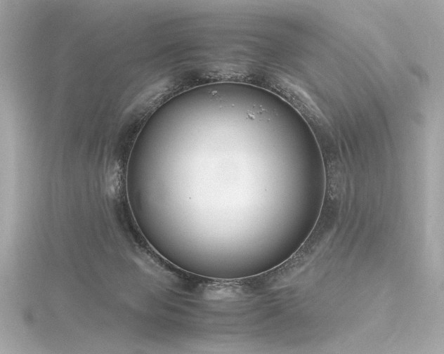 X0000116350077200912011419