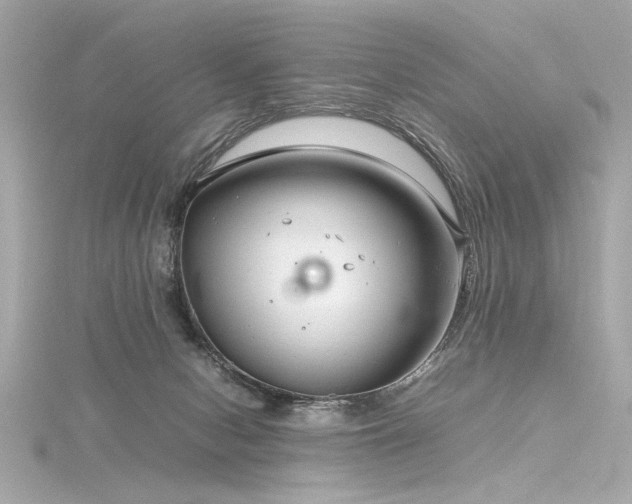 X0000116350078200912011419