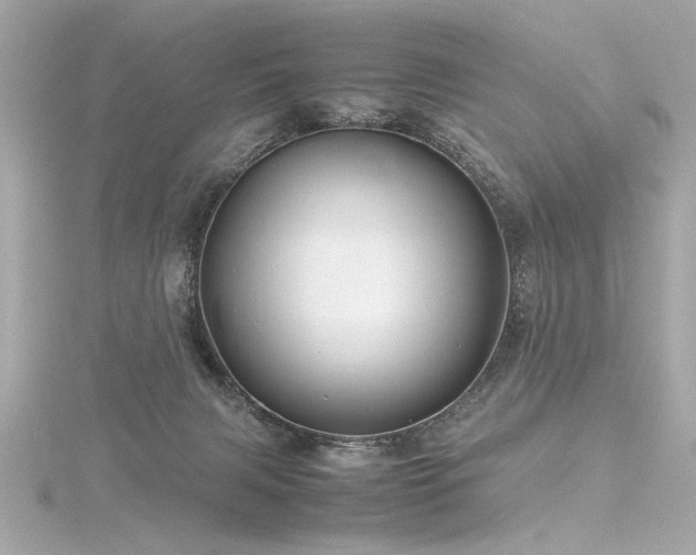 X0000116350079200912011419