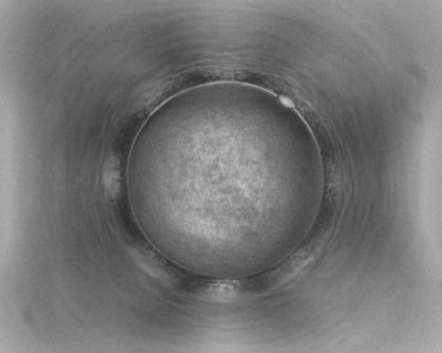 X0000116350080200912011419