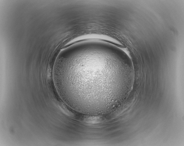 X0000116350081200912011419