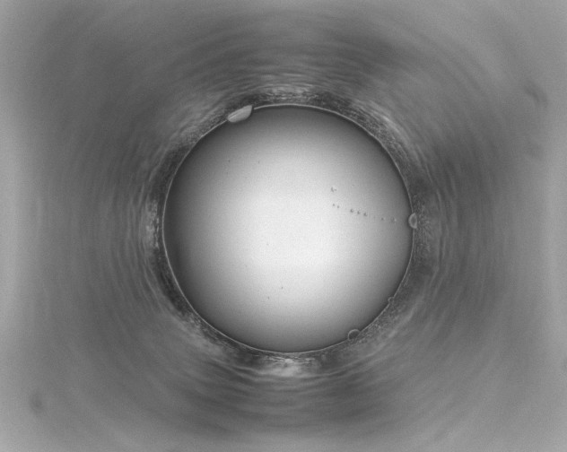 X0000116350083200912011419