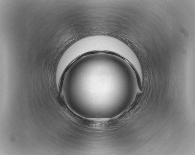 X0000116350084200912011419