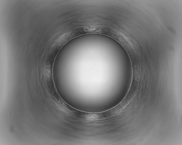 X0000116350085200912011419