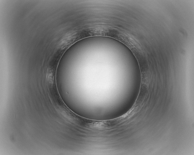 X0000116350086200912011419