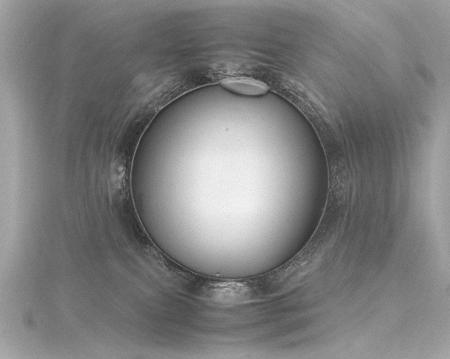 X0000116350087200912011419