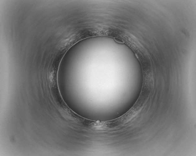 X0000116350088200912011419