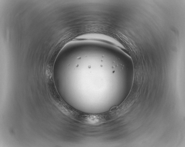 X0000116350091200912011419