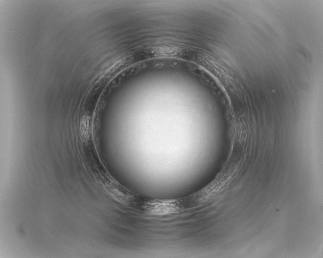 X0000116350093200912011419