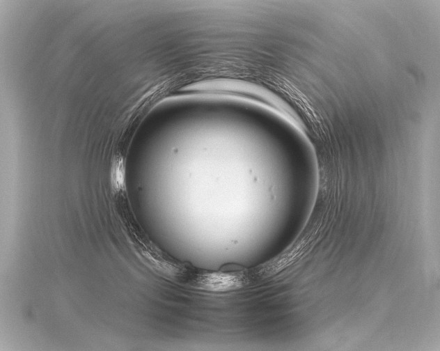 X0000116350095200912011419