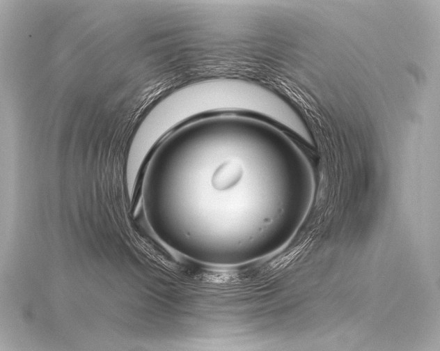 X0000116350096200912011419