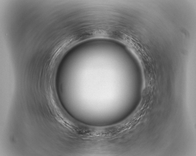 X0000116350097200912011418