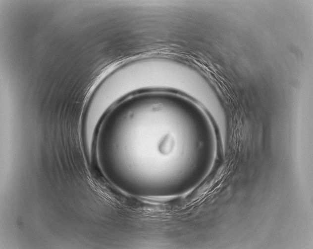 X0000116350100200912011418