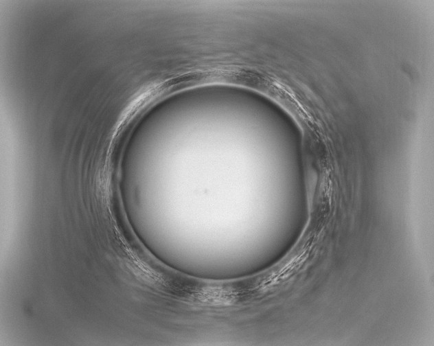 X0000116350101200912011418