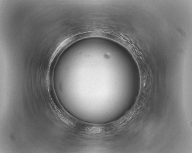 X0000116350102200912011418