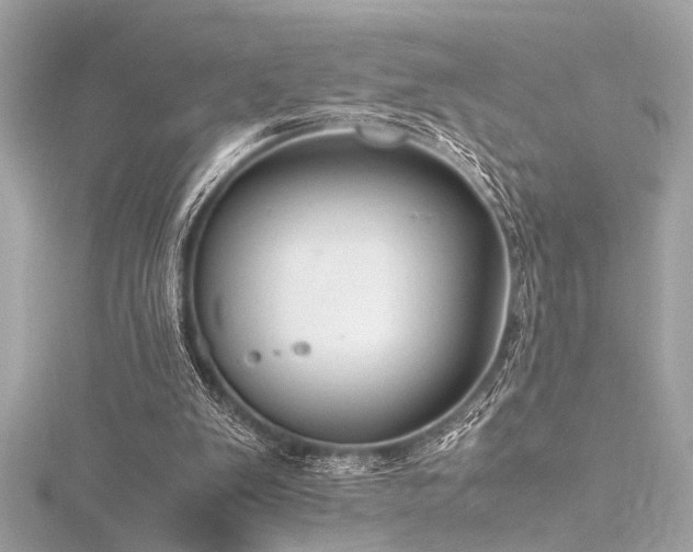 X0000116350103200912011418