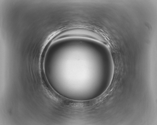 X0000116350104200912011418