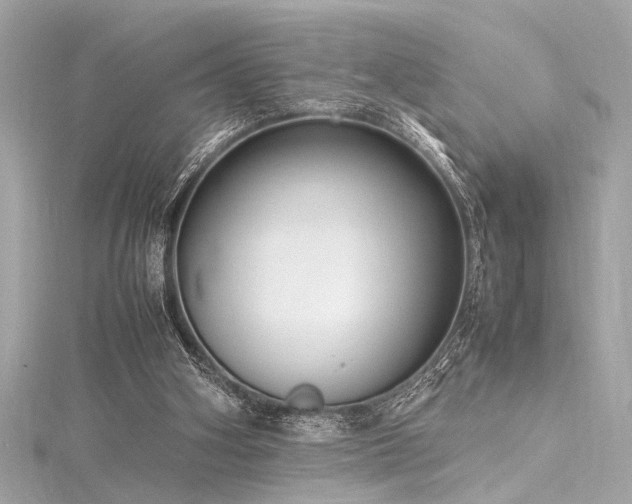 X0000116350106200912011418