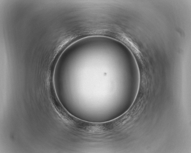 X0000116350107200912011418