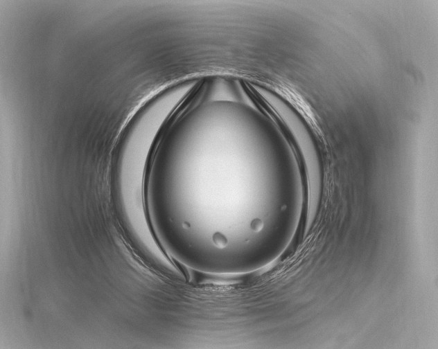 X0000116350108200912011418