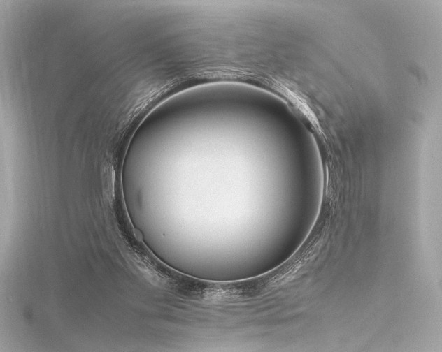 X0000116350109200912011418