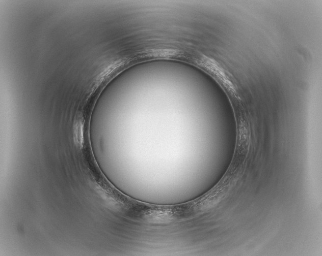 X0000116350110200912011418