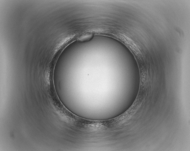 X0000116350112200912011418