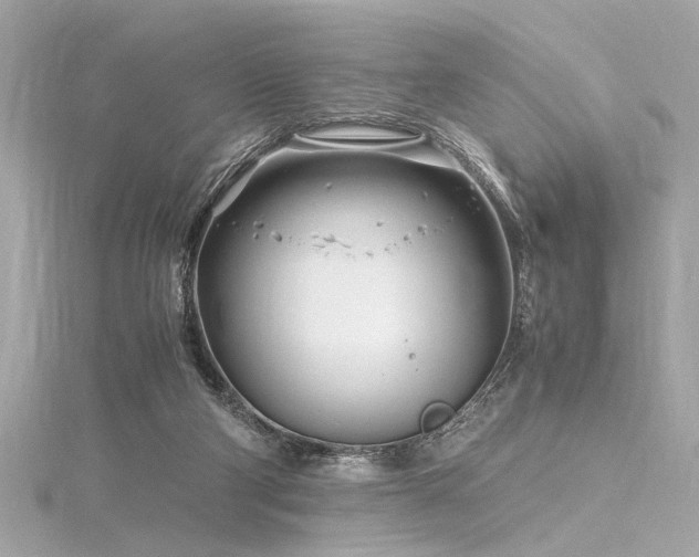 X0000116350114200912011418