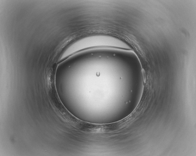 X0000116350116200912011418