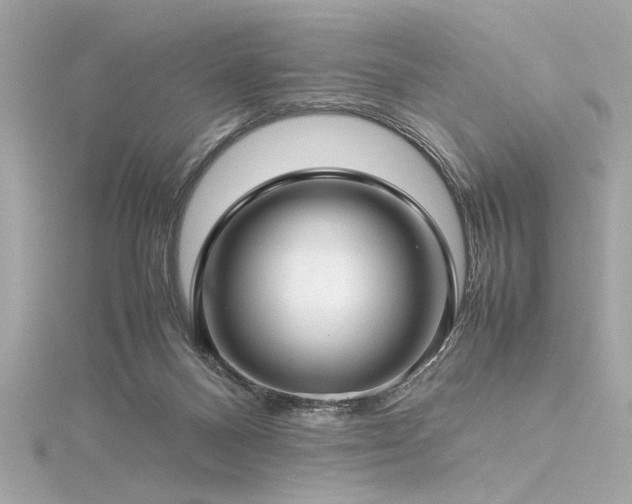 X0000116350120200912011418