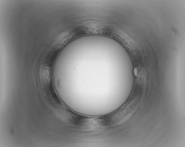 X0000116350121200912011418