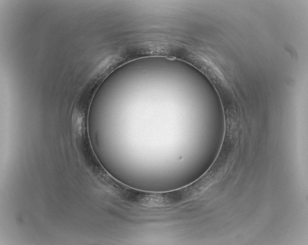 X0000116350123200912011418