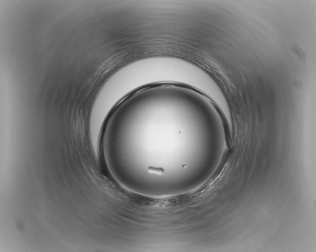 X0000116350124200912011418