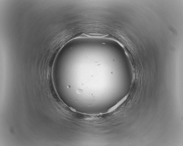 X0000116350125200912011418