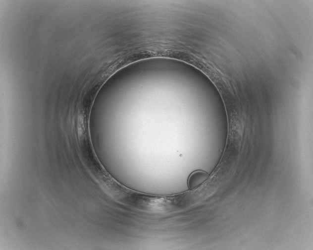 X0000116350130200912011418